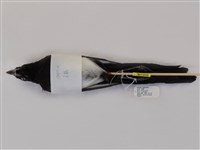 藏品(喜鵲)的圖片